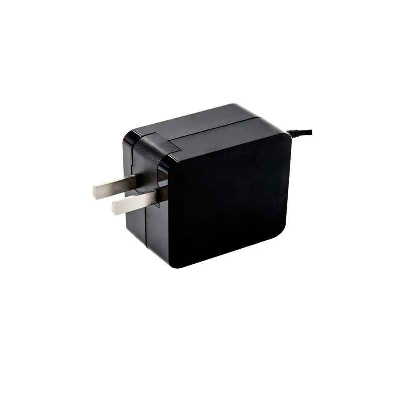 12W series fixed plug